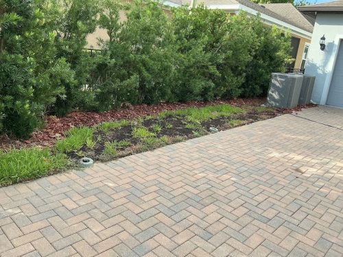 Lawn Services Brandon FL 8.3.26 68