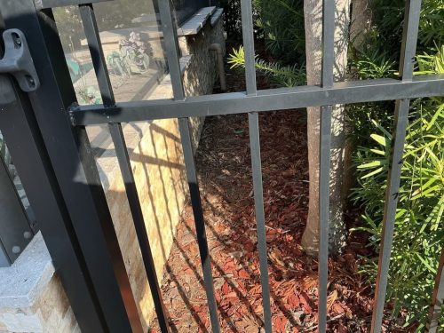 Lawn Services Brandon FL 8.3.26 69