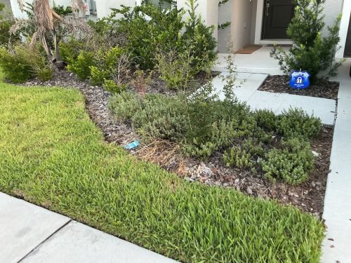 Lawn Services Brandon FL 8.3.26 7