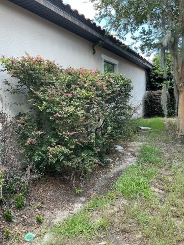 Lawn Services Brandon FL 8.3.26 70