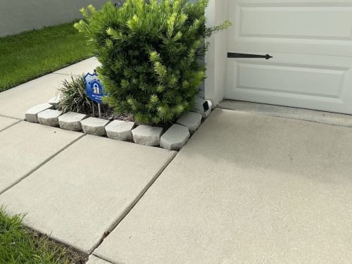 Lawn Services Brandon FL 8.3.26 71