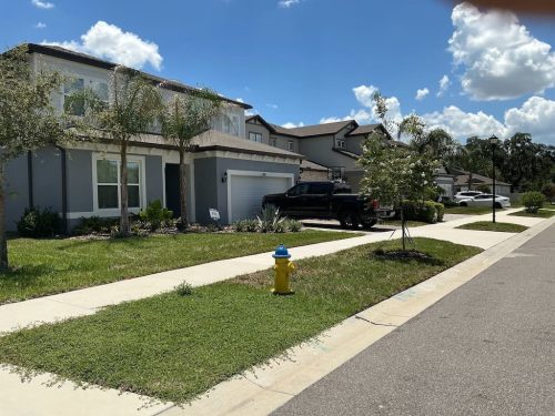 Lawn Services Brandon FL 8.3.26 73