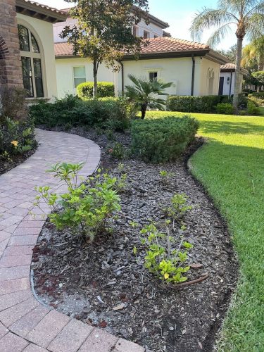 Lawn Services Brandon FL 8.3.26 74