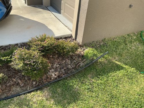 Lawn Services Brandon FL 8.3.26 78