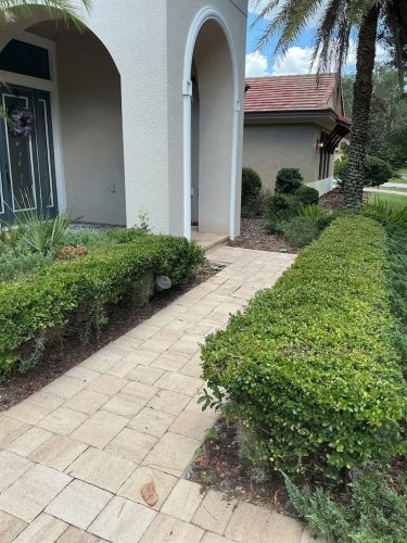 Lawn Services Brandon FL 8.3.26 80