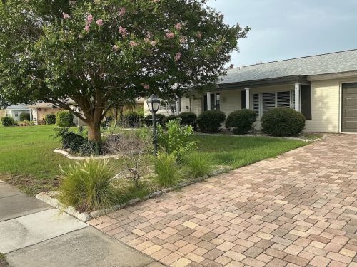 Lawn Services Brandon FL 8.3.26 81
