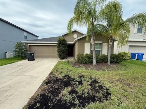 Lawn Services Brandon FL 8.3.26 82