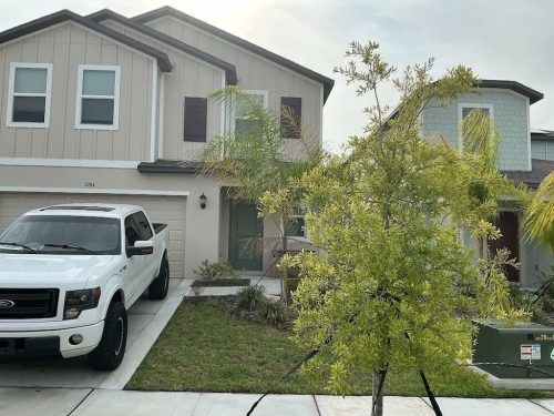 Lawn Services Brandon FL 8.3.26 88