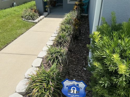 Lawn Services Brandon FL 8.3.26 9