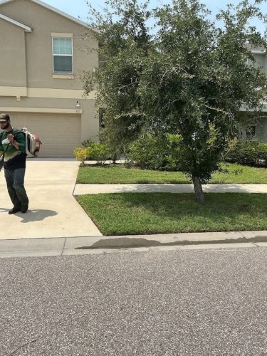 Lawn Services Brandon FL 8.3.26 93