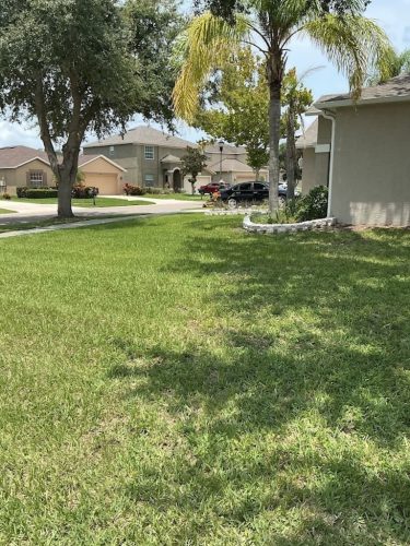 Lawn Services Brandon FL 8.3.26 94