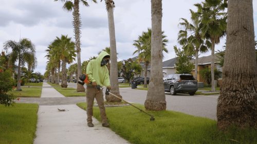 Lawn Services Brandon FL 80
