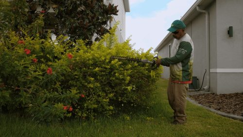 Lawn Services Brandon FL 81