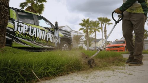 Lawn Services Brandon FL 85