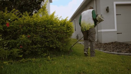 Lawn Services Brandon FL 88