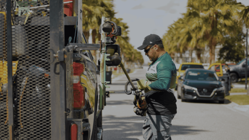 Lawn Services Brandon FL 9