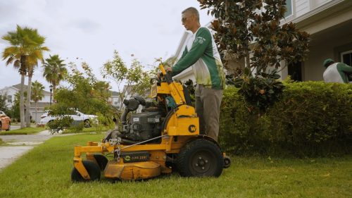 Lawn Services Brandon FL 95
