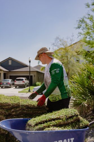 Lawn-Services-Reverview-FL-Foto-1-27-22-10-31-43-p.m