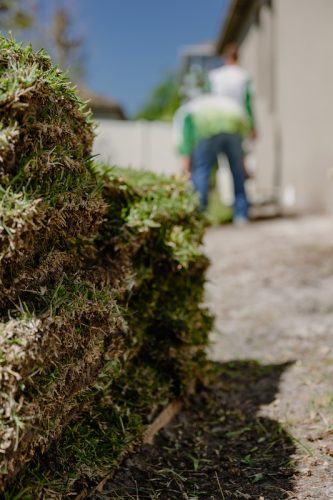 Lawn-Services-Reverview-FL-Foto-1-27-22-10-35-42-p.m