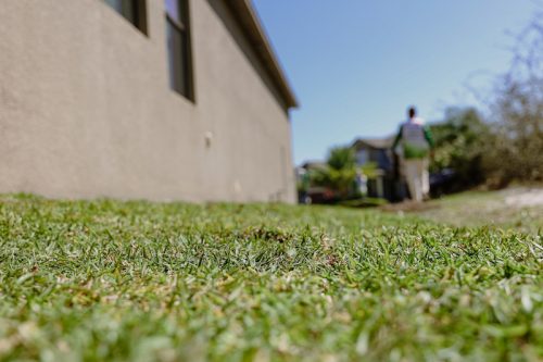 Lawn-Services-Riverview-FL-photo-1-27-22-10-47-17-p.m