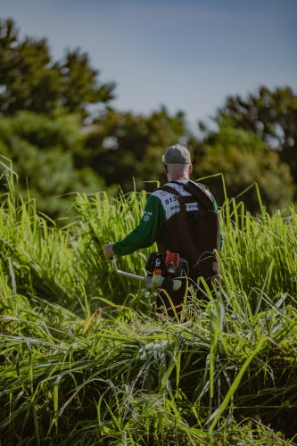 Lawn-Services-Riverview-Fl-hedge-trimming