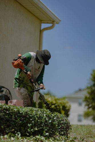 Lawn-Services-Riverview-Fl-property-cleanup
