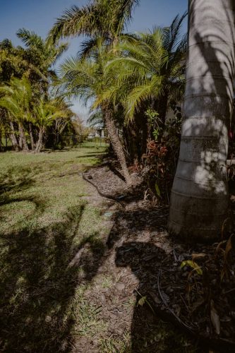 Plastic-border-apollo-beach-Fl