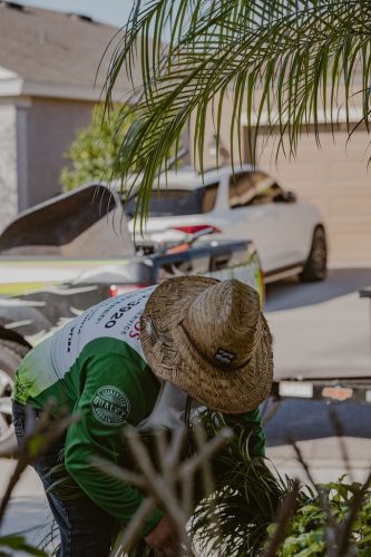 Property-clean-up-Apollo-Beach-Fl