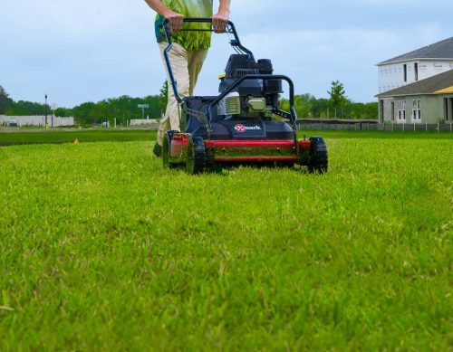 Top-Lawn-Pros-Lawn-Services-Riverview-Fl-002
