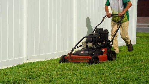 Top-Lawn-Pros-Lawn-Services-Riverview-Fl-003
