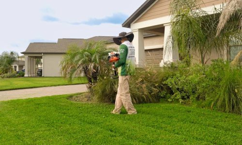 Top-Lawn-Pros-Lawn-Services-Riverview-Fl-004