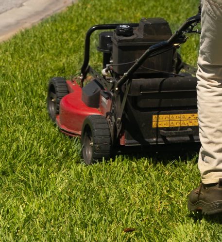 Top-Lawn-Pros-Lawn-Services-Riverview-Fl-006