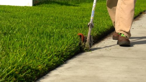 Top-Lawn-Pros-Lawn-Services-Riverview-Fl-013