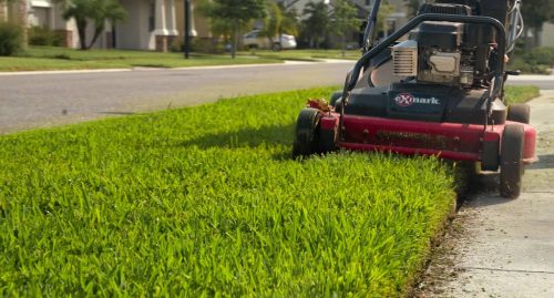 Top-Lawn-Pros-Lawn-Services-Riverview-Fl-014