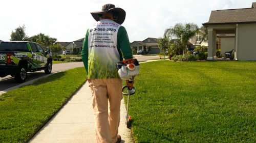 Top-Lawn-Pros-Lawn-Services-Riverview-Fl-017