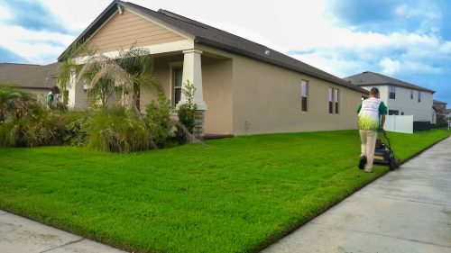 Top-Lawn-Pros-Lawn-Services-Riverview-Fl-019