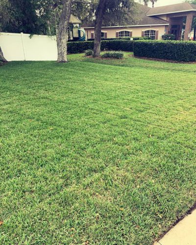 Top-Lawn-Pros-Lawn-Services-Riverview-Fl-021
