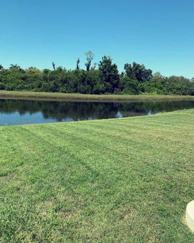 Top-Lawn-Pros-Lawn-Services-Riverview-Fl-022