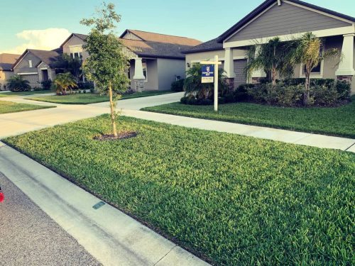 Top-Lawn-Pros-Lawn-Services-Riverview-Fl-023