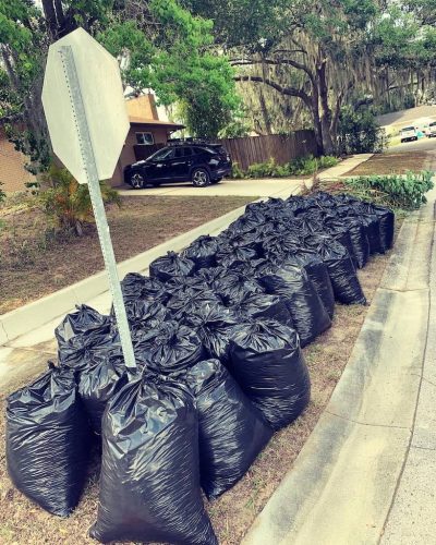 Top-Lawn-Pros-Lawn-Services-Riverview-Fl-024