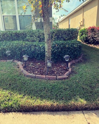 Top-Lawn-Pros-Lawn-Services-Riverview-Fl-026