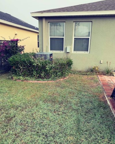 Top-Lawn-Pros-Lawn-Services-Riverview-Fl-027