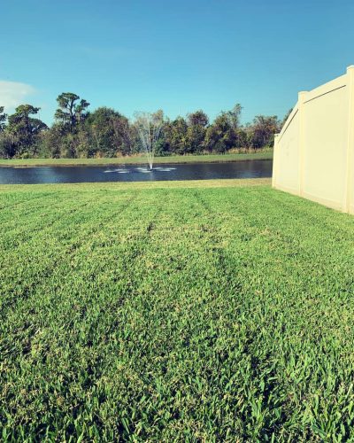 Top-Lawn-Pros-Lawn-Services-Riverview-Fl-029
