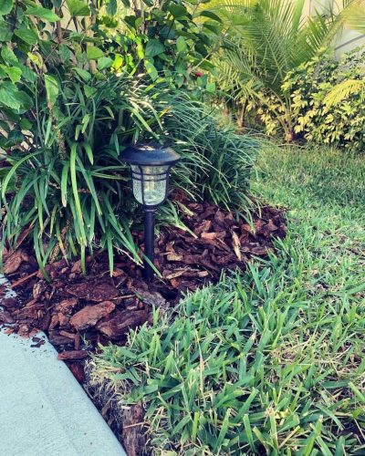 Top-Lawn-Pros-Lawn-Services-Riverview-Fl-030
