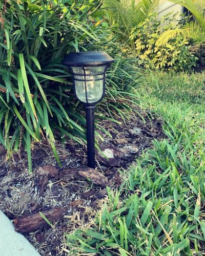 Top-Lawn-Pros-Lawn-Services-Riverview-Fl-031