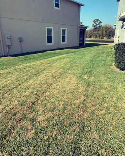 Top-Lawn-Pros-Lawn-Services-Riverview-Fl-032