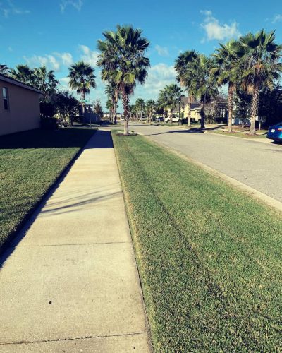 Top-Lawn-Pros-Lawn-Services-Riverview-Fl-033