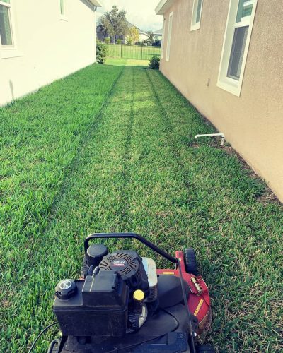 Top-Lawn-Pros-Lawn-Services-Riverview-Fl-034