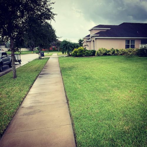 Top-Lawn-Pros-Lawn-Services-Riverview-Fl-038