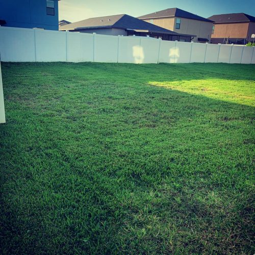 Top-Lawn-Pros-Lawn-Services-Riverview-Fl-039